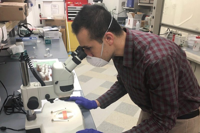 Student analyzing samples under a microscope